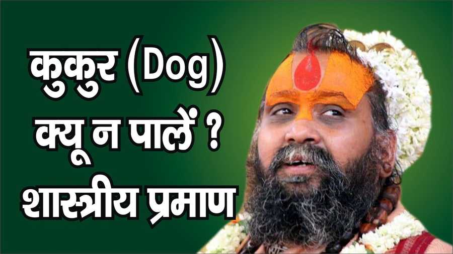 Image of क्या मनुषह्या को एक पालतू पशु के जैसे कुत्ता को भी पलना चाहिए? इससे आपक��े जीवन में कैसा दुर्दांत स्थिति आती है